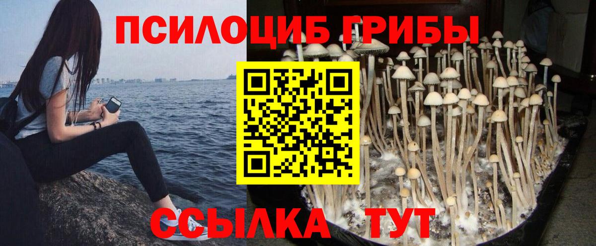 Архангельск  Галлюциногенные грибы Cubensis  Вход с VPN 